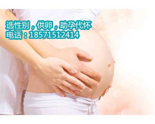 胚胎移植价格探究：北京试管婴儿费用明细大揭秘