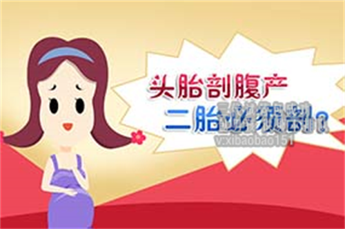 青岛供卵代生孩子专家,深圳武警医院试管费用是多少